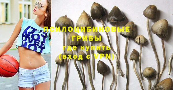 винт Белокуриха