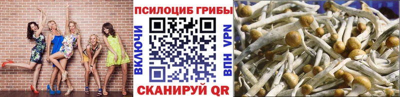 omg онион  Верещагино  Галлюциногенные грибы ЛСД 